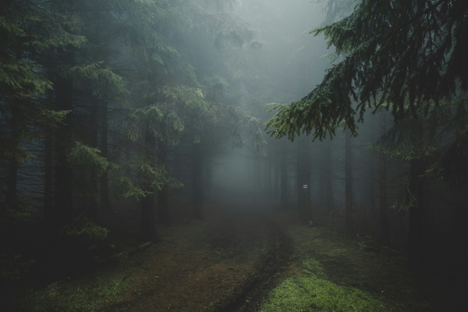 The Green Children of Woolpit: The Medieval Mystery That Has Never Been Solved